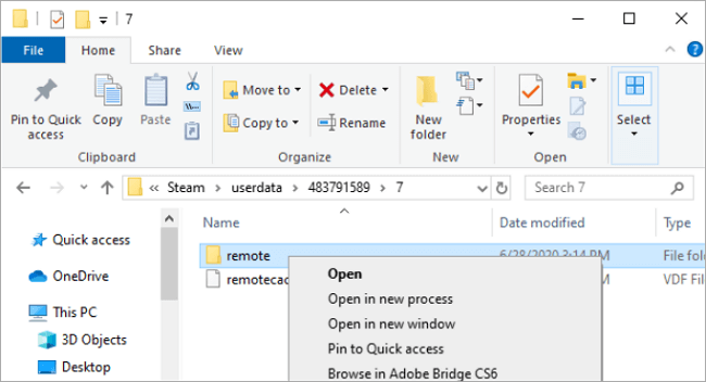 access steam data on windows