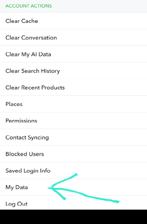 snapchat my data button