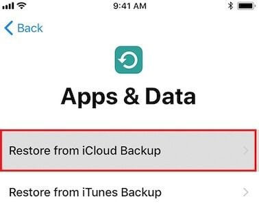 Restore from iCloud backup