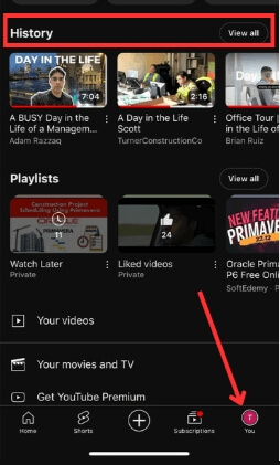 you youtube history
