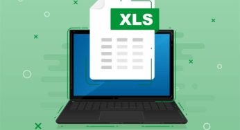 How to Recover Deleted Excel Files on Windows?[2024]