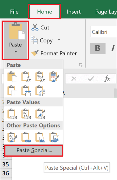 excel paste special button