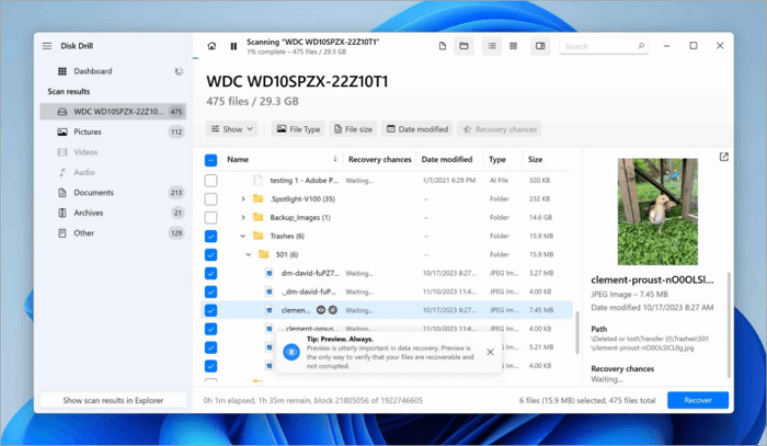 wd passport data recovery