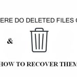 where do deleted files go