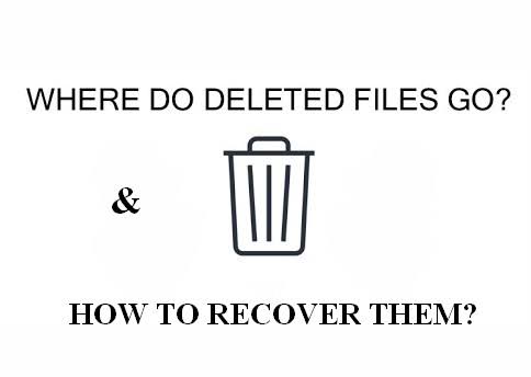 where do deleted files go